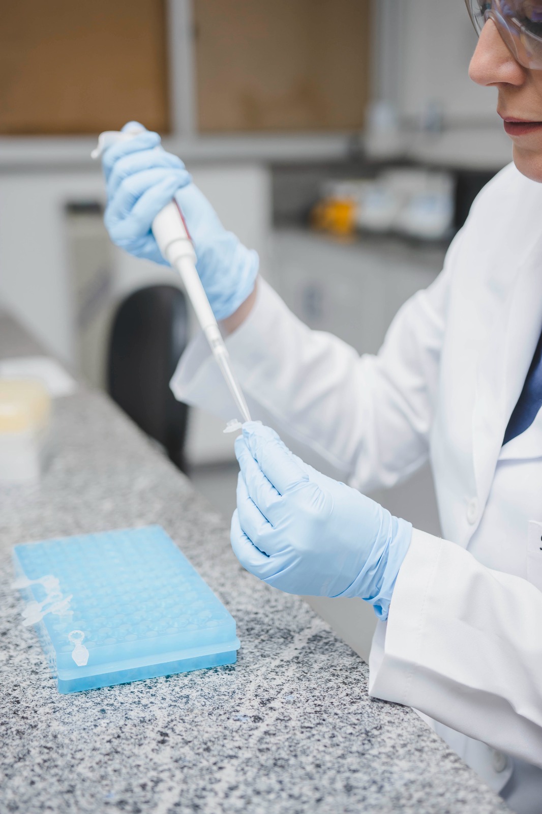 WhatsApp Image 2025-12-03 at 11.42.17